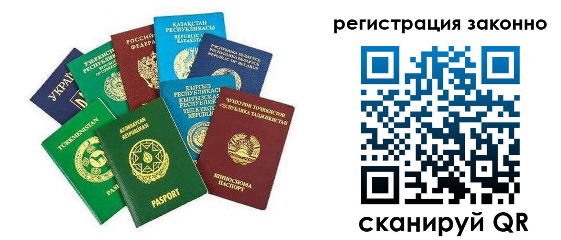 прописка 2025 в Звенигово